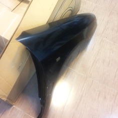 گلگیر-جلو-زانتیا-چپ-و-راست-اورجینال-فرانسوی