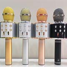 بلندگو-دستی-با-اکو-و-بلوتوث-مدل-WS-858