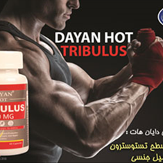 دایان-هات-60-عددی-کد-5207