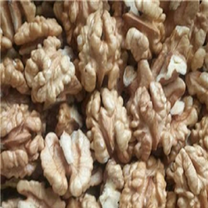 مغز-گردوی-تویسرکان