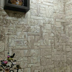 مدل-براش-ساده