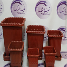 گلدان-مربع-درختی