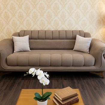 مدل-ویولتکد-113