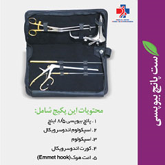 ست-پانچ-بیوبسی