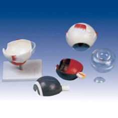 چشم-چند-تکه