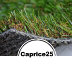 کاپریس25