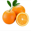 پرتقال