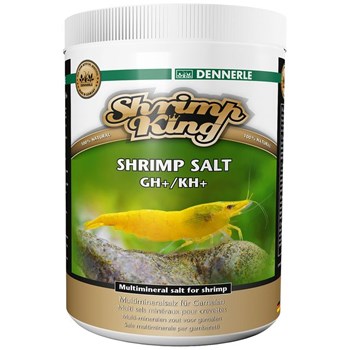 Shrimp-King-Shrimp-Salt-GHKH