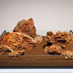 Aqauarium-Maple-leaf-rock-سنگ-آکواریوم-میپل-لیف