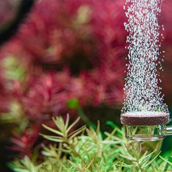 دفیوزر-نئو-اسپشیال-نرمال-سایز-original-normal-diffuser-neo-size-L