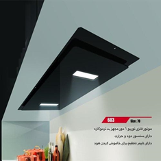 هود-مخفی-300G-ایگل