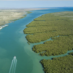 تور-دو-روزه-شهر-تالابی-ایران