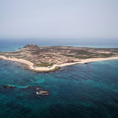 تور-جزیره-نابیوفارور-کوچک