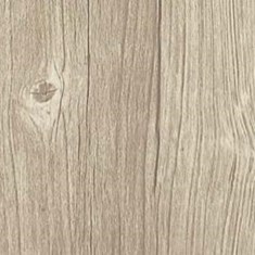 آنتیک-طوسی-قطبی