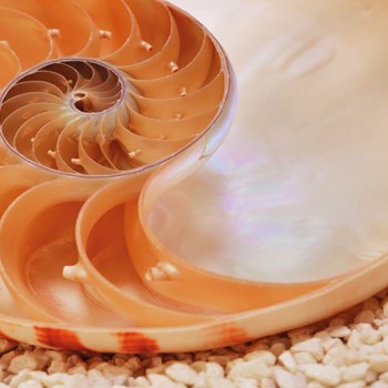 پوستر-نشنال-جئوگرافی