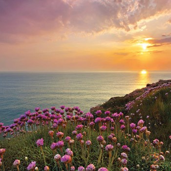 پوستر-کومار-8-پنل