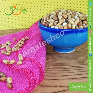 مغز-بخورک