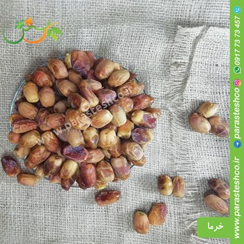 حلوای-خرما-مغزدار