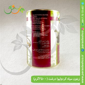 زیتون-سیاه-جلوریا