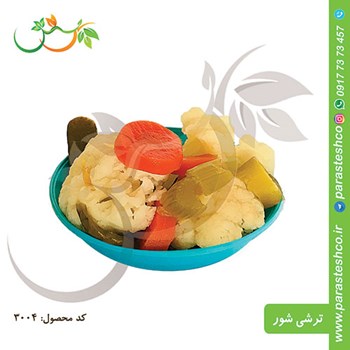 ترشی-شور-درجه-یک