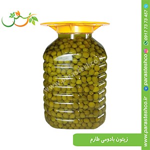 زیتون-فارس