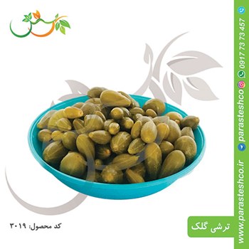 ترشی-گلک-ریز