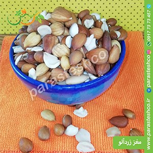 مغز-زردآلو