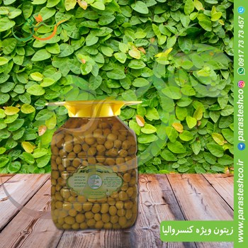 زیتون-ویژه-کنسروالیا