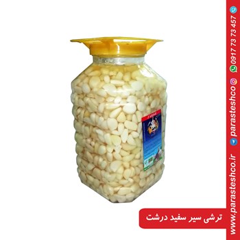 ترشی-سیر-سفید-درشت