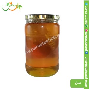 عسل-با-موم-طبیعی