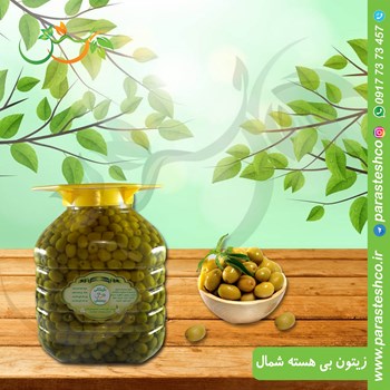 زیتون-بی-هسته-شمال