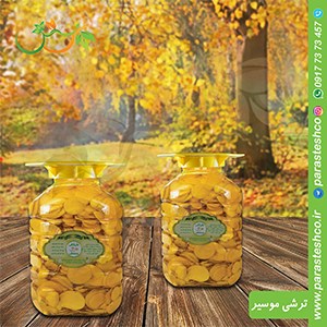 ترشی-موسیر