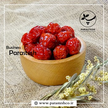 ترشک-آلوچه-یاقوتیلوکس