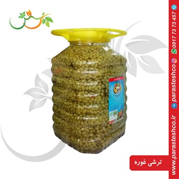 ترشی-غوره