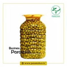 زیتون-ممتاز-شمال