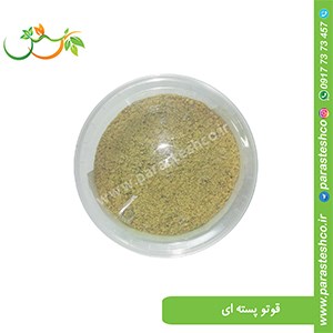 قوتو-پسته-ای