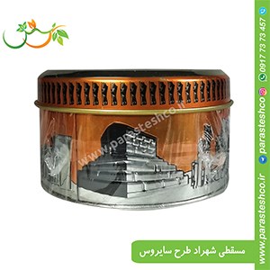 مسقطی-شهراد-طرح-سایروس