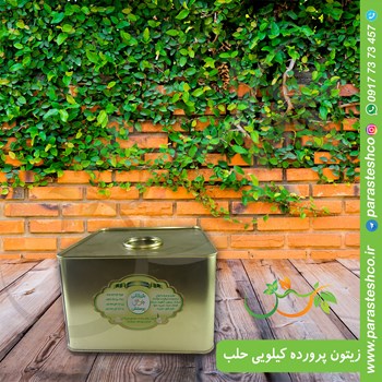 زیتون-پرورده-کیلویی-حلب