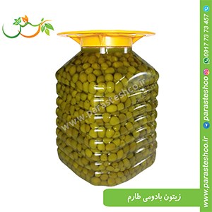 زیتون-فارس