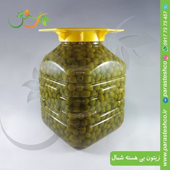 زیتون-بی-هسته-شمال