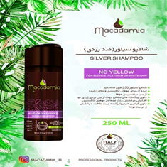 شامپو-سیلوربدون-ضردی