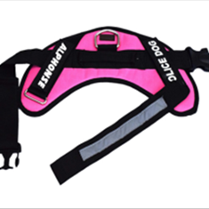 قلاده-پلیسی-سایز-xlقلاده-پلیسی-سایز-xl