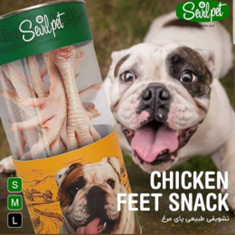 پای-مرغ-سویل-پت