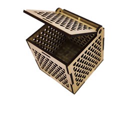 جعبه-انگشتری-کاملیا