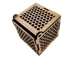 جعبه-انگشتری-کاملیا