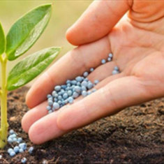 کودهای-شیمیایی