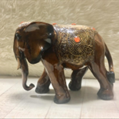 فیل-نگین-دار