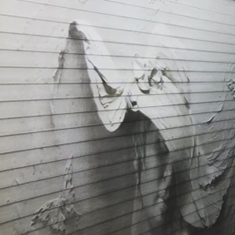 پرده-زبرای-سه-بعدی