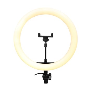 رینگ-لایت-پی-نتP-net-M-33-13