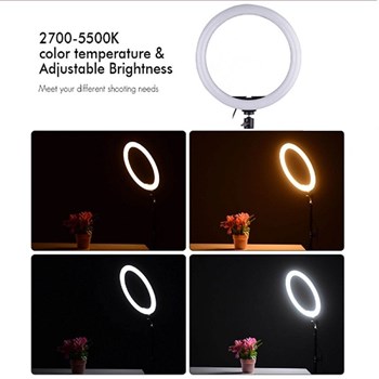 رینگ-لایت-پی-نتP-net-M-33-13-با-پایه-2-متری